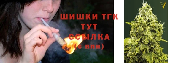 ГАЛЛЮЦИНОГЕННЫЕ ГРИБЫ Белоозёрский