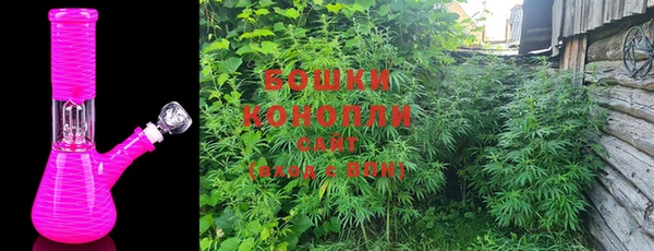ГАЛЛЮЦИНОГЕННЫЕ ГРИБЫ Белоозёрский