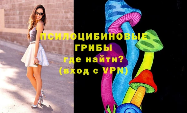 mdpv Белокуриха