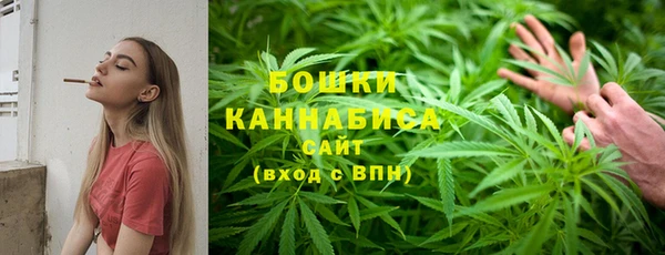 ГАЛЛЮЦИНОГЕННЫЕ ГРИБЫ Белоозёрский
